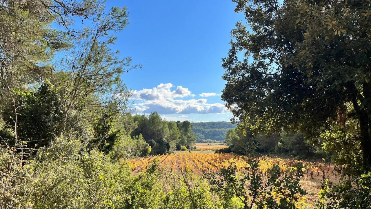 Le Chalet Saint-Jean-de-Minervois Eksteriør billede